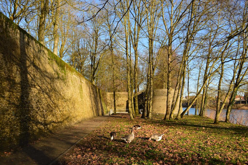 Holiday Home Ipericus Ieper Quarto foto